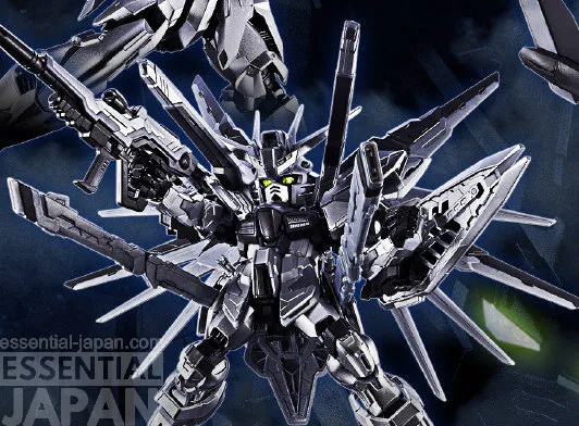 Freedom Gundam and Testament Gundam Silver Colo Gunpla 3