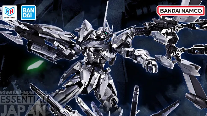 Freedom Gundam and Testament Gundam Silver Colo Gunpla 4