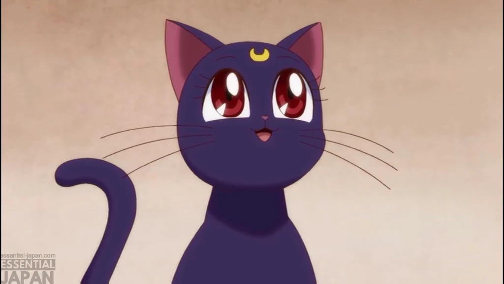 Luna Sailor Moon