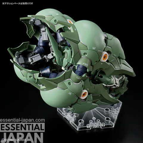 MGSD Kshatriya 10