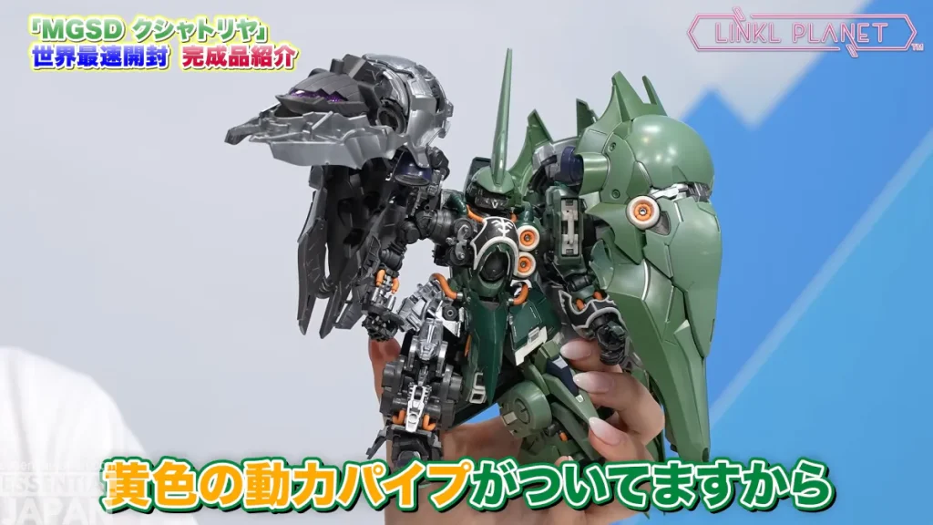 MGSD Kshatriya 3
