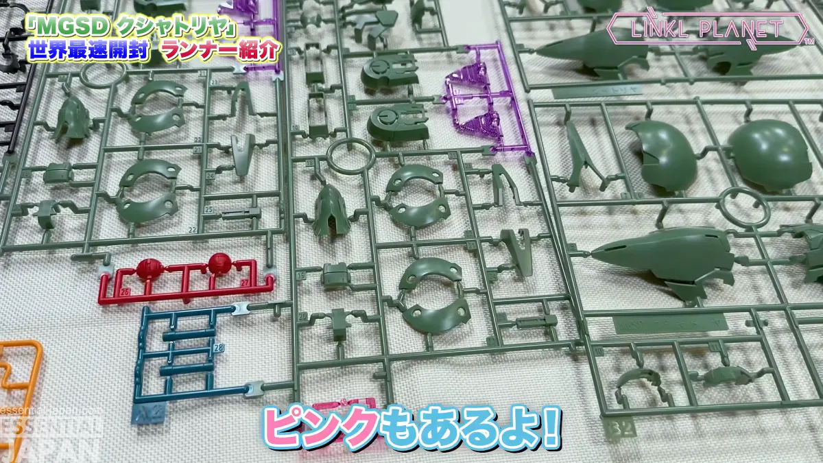MGSD Kshatriya 6