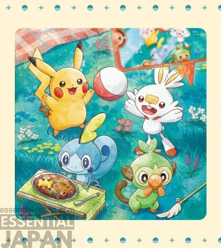 Pokémon Timeless Adventure Galar Merch Collection 9