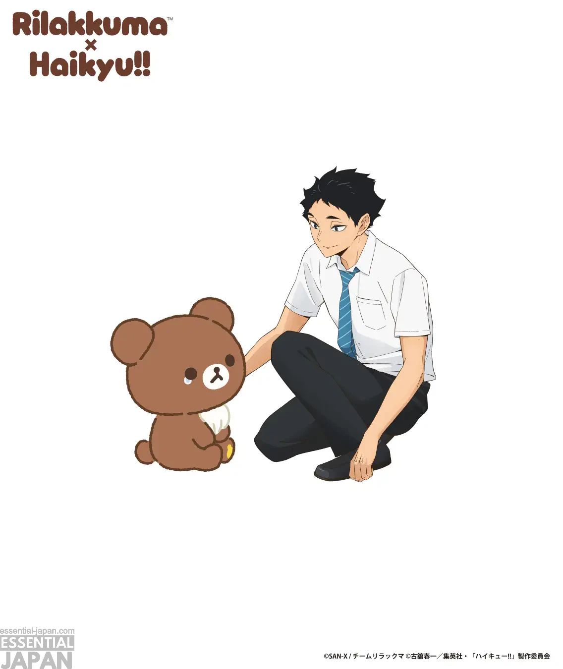 Rilakkuma × Haikyu!! project 11
