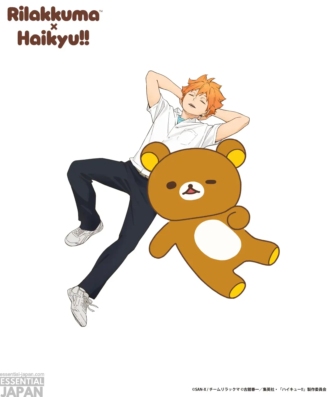 Rilakkuma × Haikyu!! project 2
