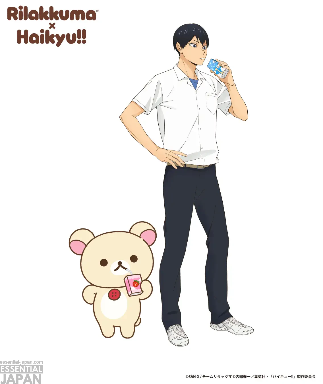 Rilakkuma × Haikyu!! project 3