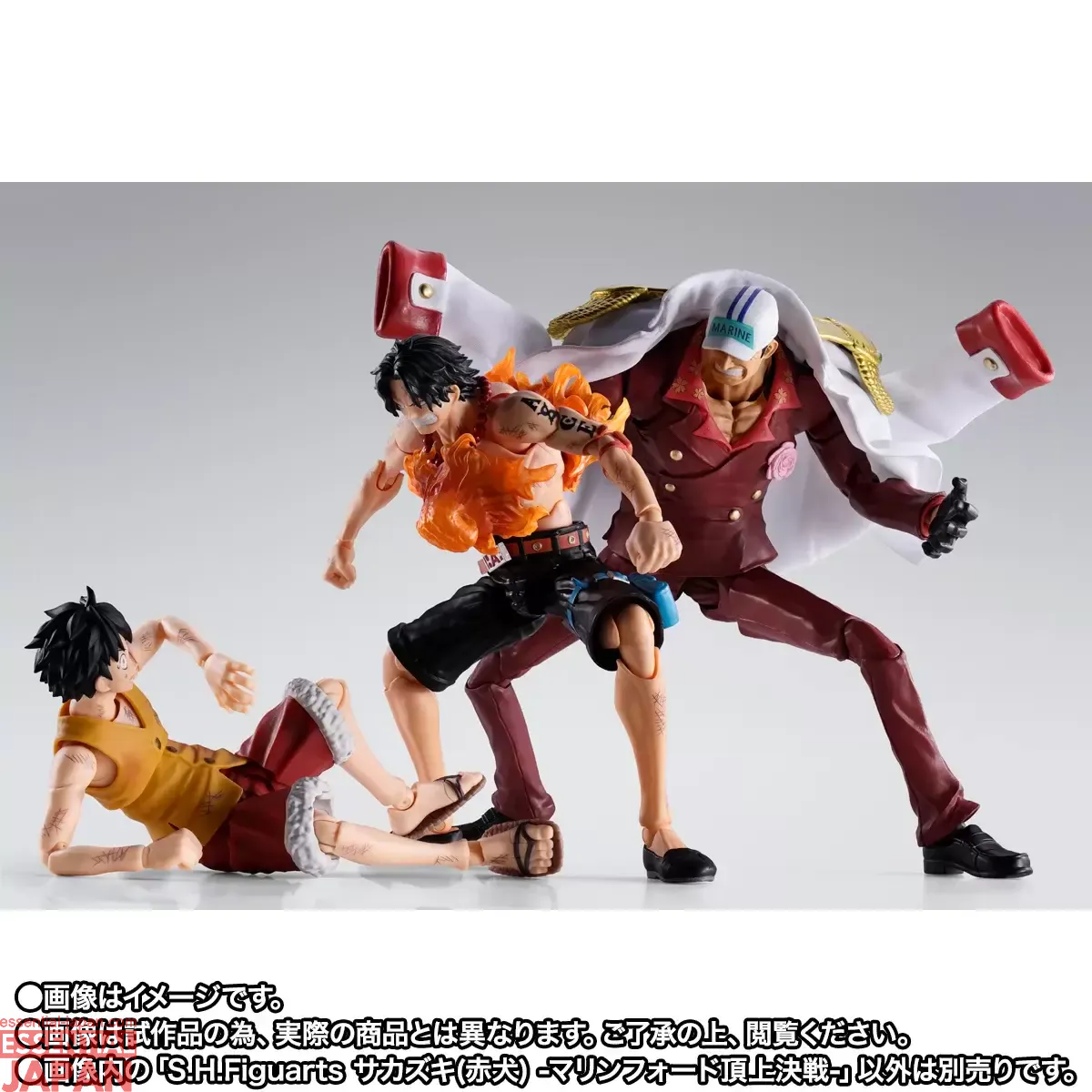 S.H.Figuarts Sakazuki (Akainu) Marineford 4