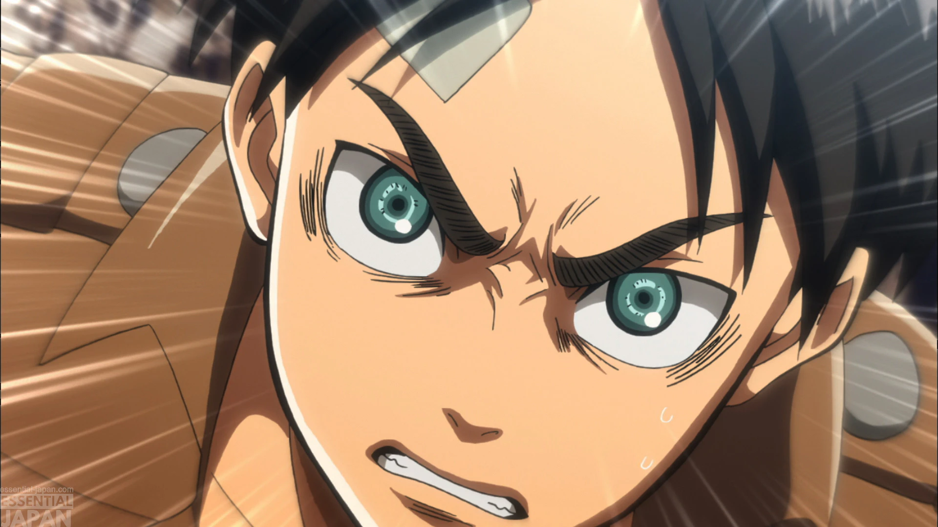 September 9 Attack on Titan Day 7