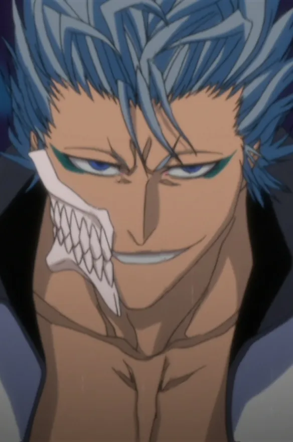 bleachfes27