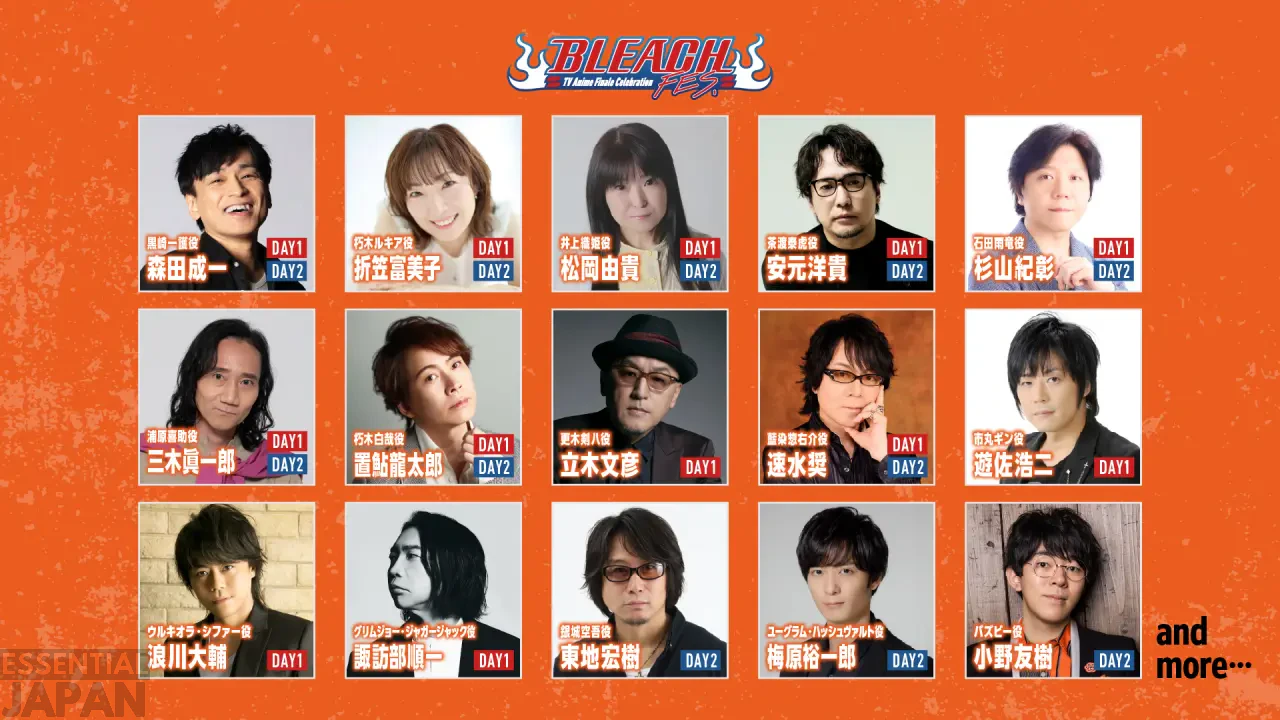 bleachfes3