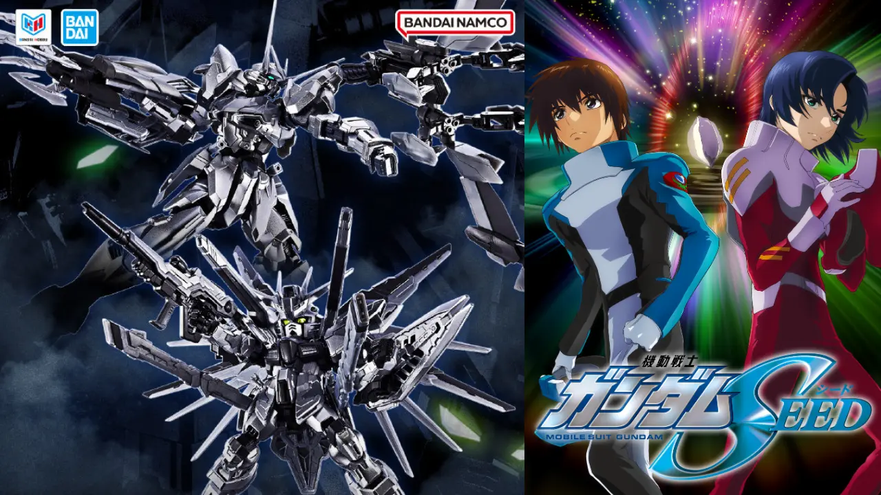 gundam seed silver mg custom main