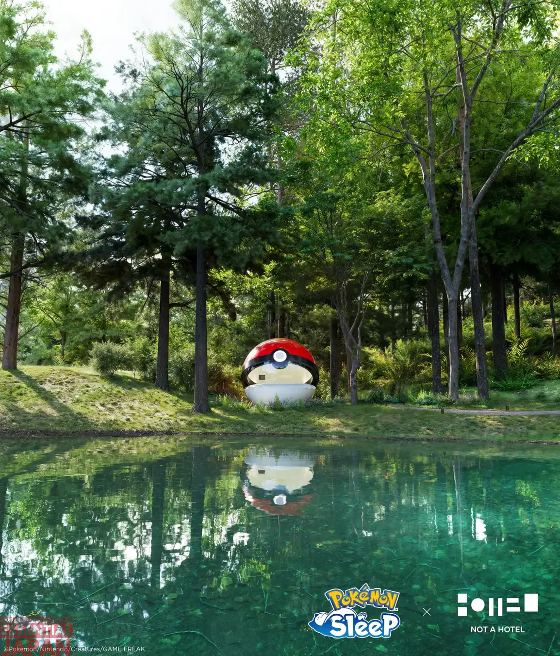 pokemon pokeball hotel reveal 14
