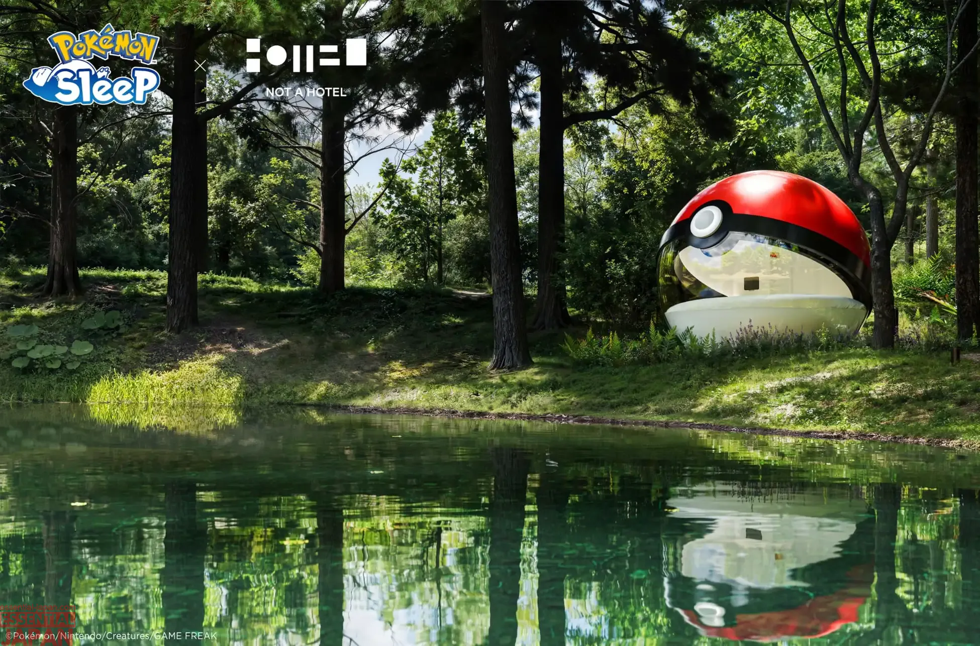 pokemon pokeball hotel reveal 15