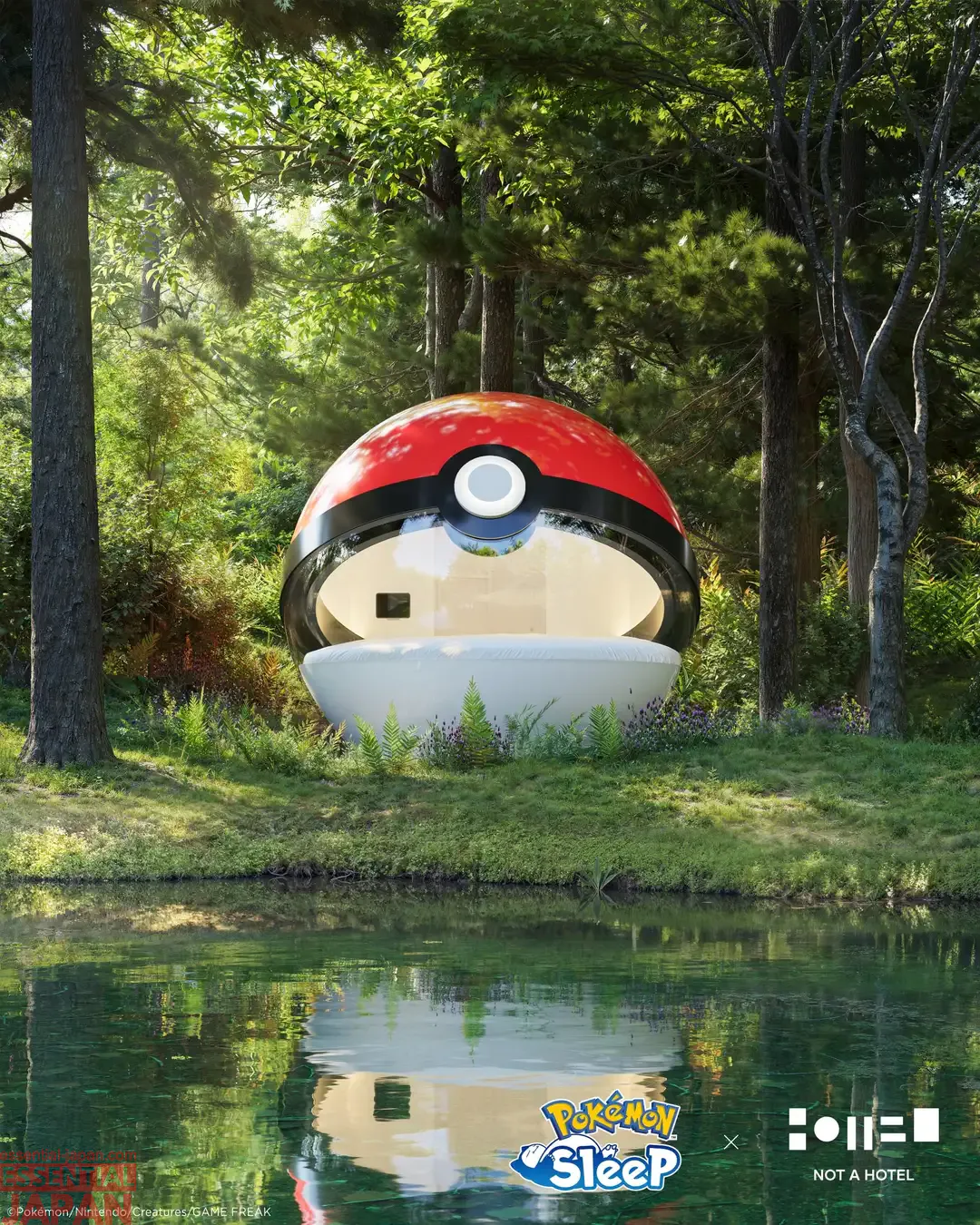 pokemon pokeball hotel reveal 6
