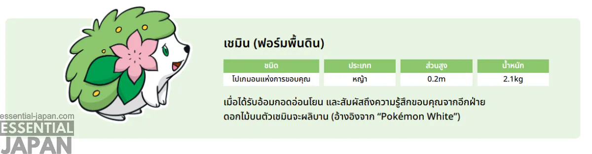 shaymin thai info pokemon