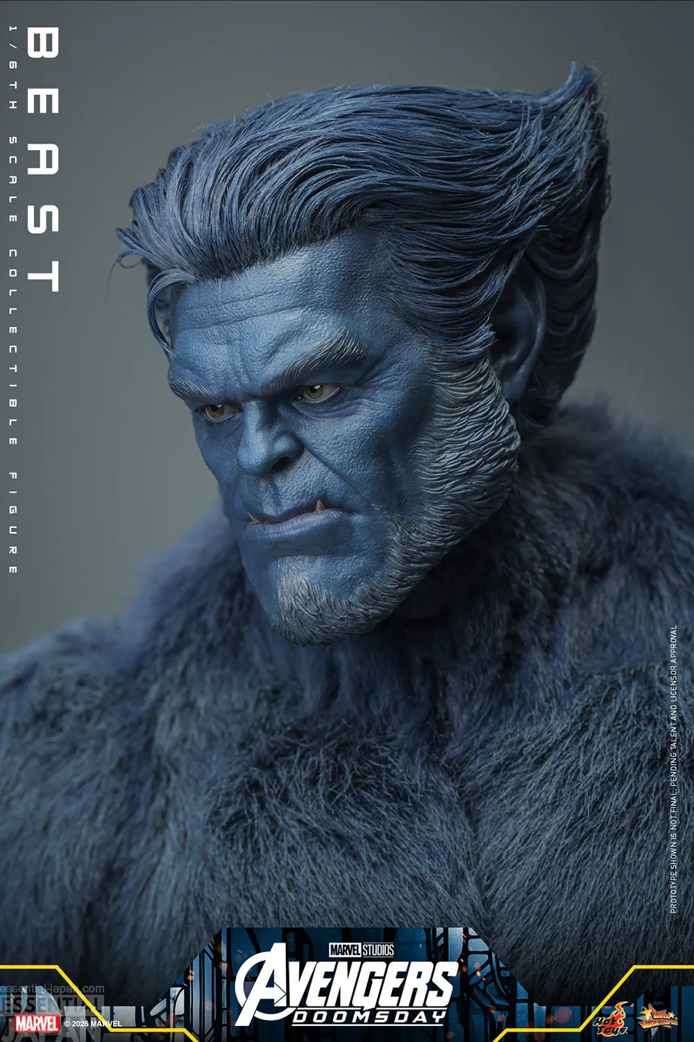 AVENGERS DOOMSDAY Hot Toys Beast Sixth Scale Figure 10