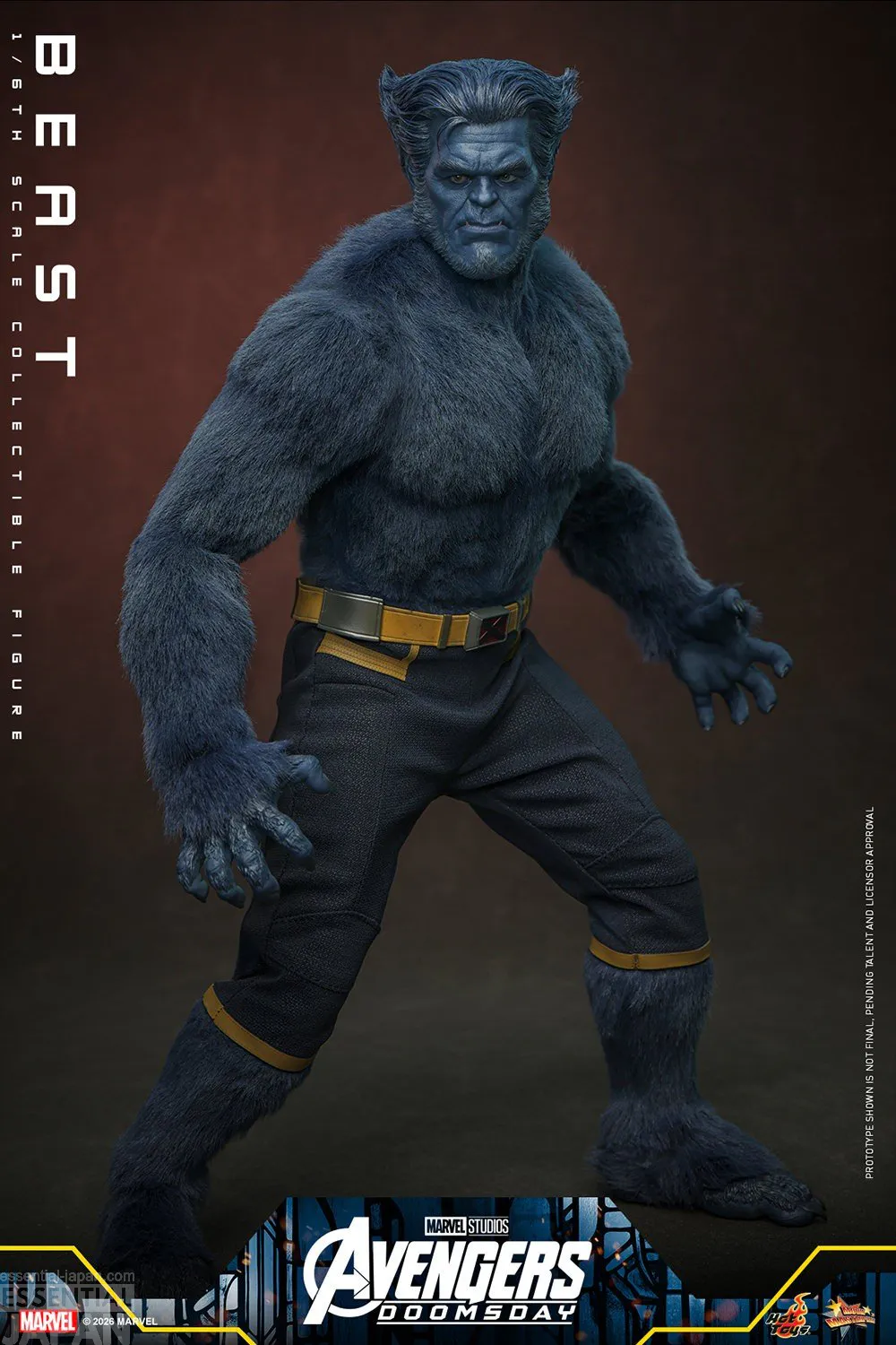 AVENGERS DOOMSDAY Hot Toys Beast Sixth Scale Figure 13
