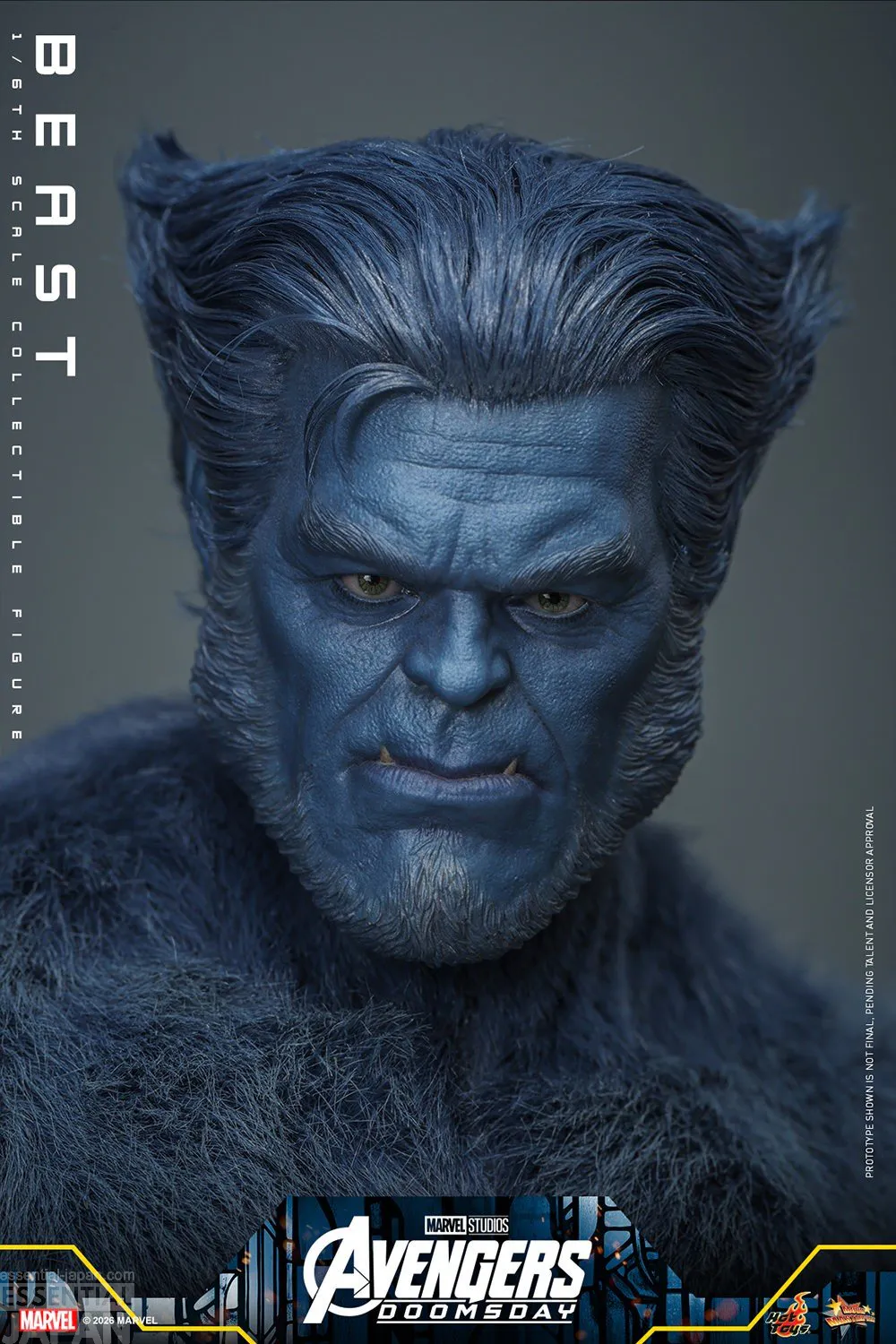AVENGERS DOOMSDAY Hot Toys Beast Sixth Scale Figure 15