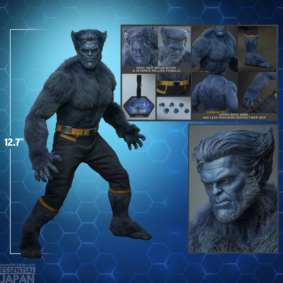 AVENGERS DOOMSDAY Hot Toys Beast Sixth Scale Figure 7