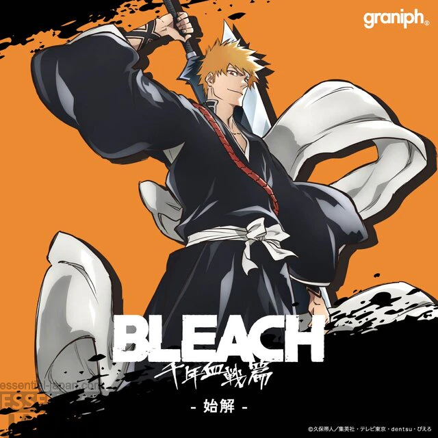 Bleach x Graniph Clothing Collab 35