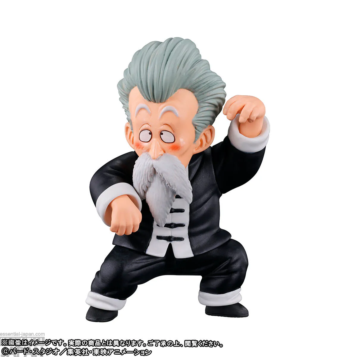 DRAGON BALL WORLD COLLECTABLE FIGURE PREMIUM TENKAICHI BUDOKAI 4