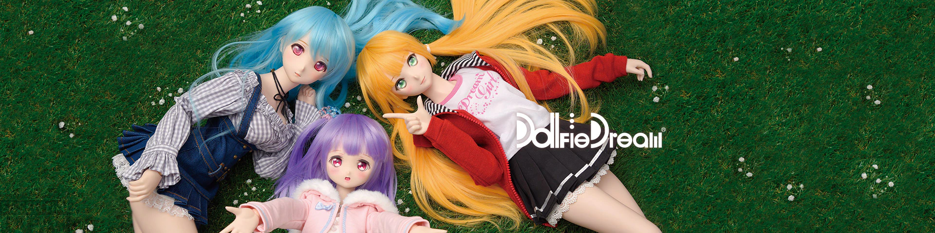 Dolfie Dream