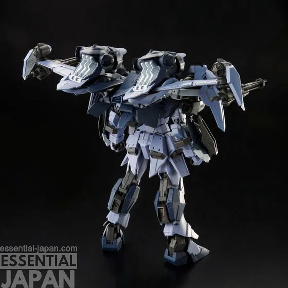 FULL MECHANICS 1100 AILE CALAMITY GUNDAM 8