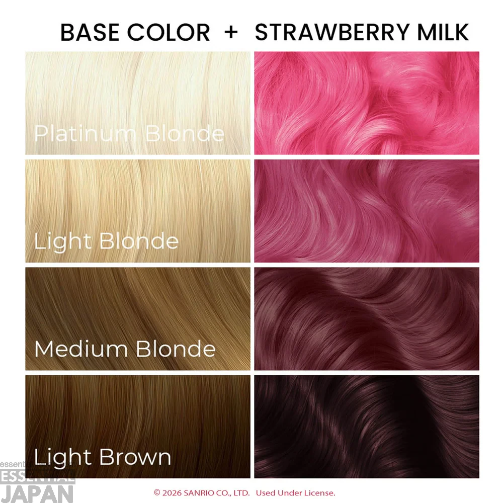Hello Kitty & Friends Arctic Fox Hair Color Collection 14