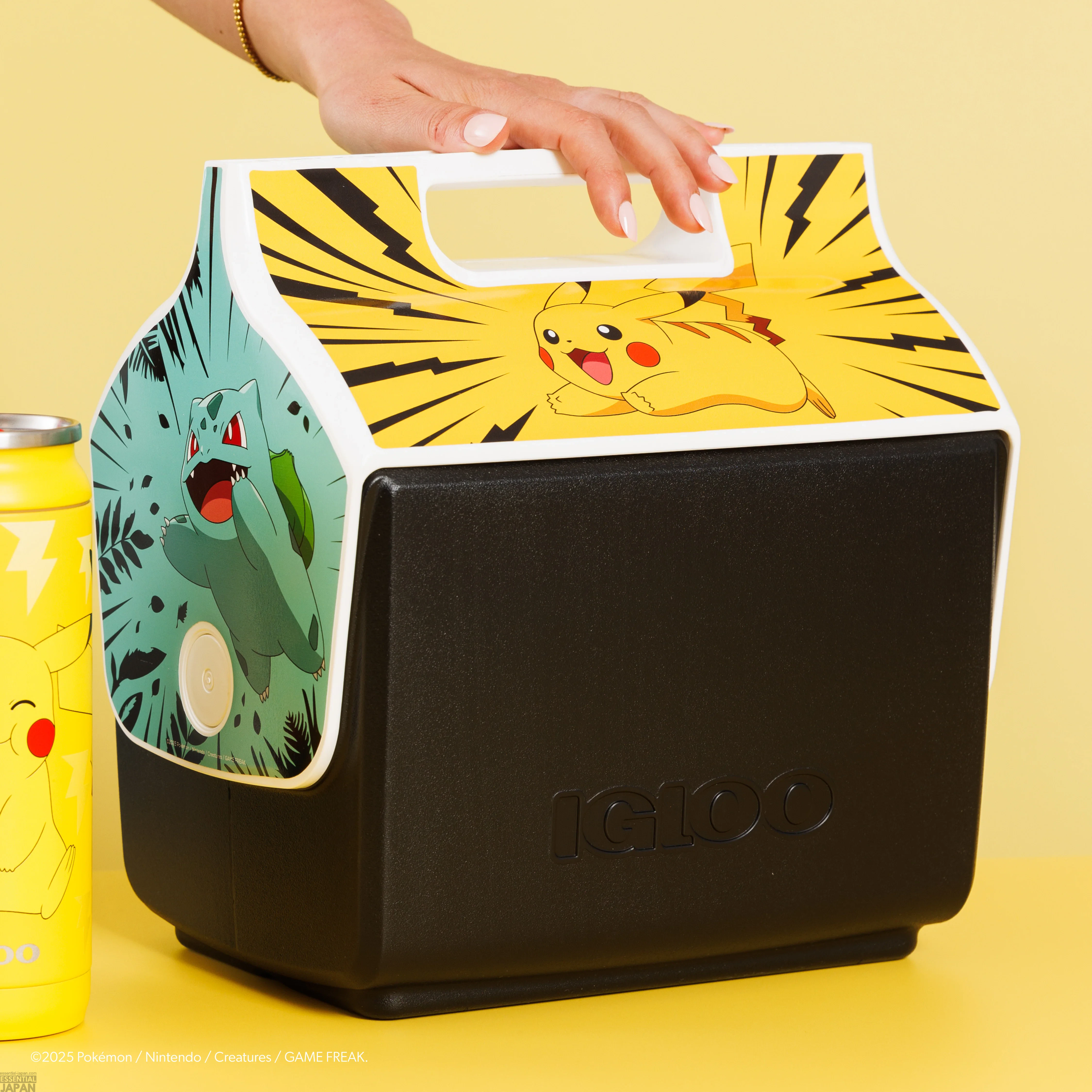 Igloo x Pokémon Coolers & Drinkware Collection 56
