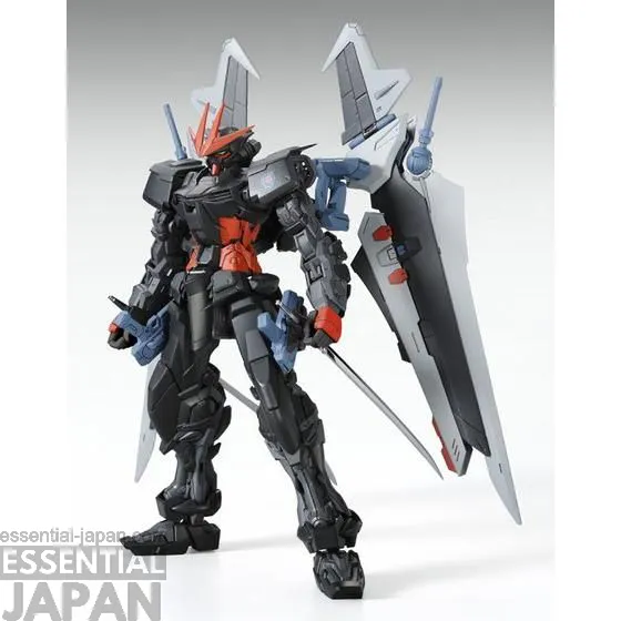 MG 1100 Gundam Astray Noir 3