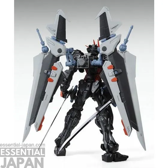 MG 1100 Gundam Astray Noir 4