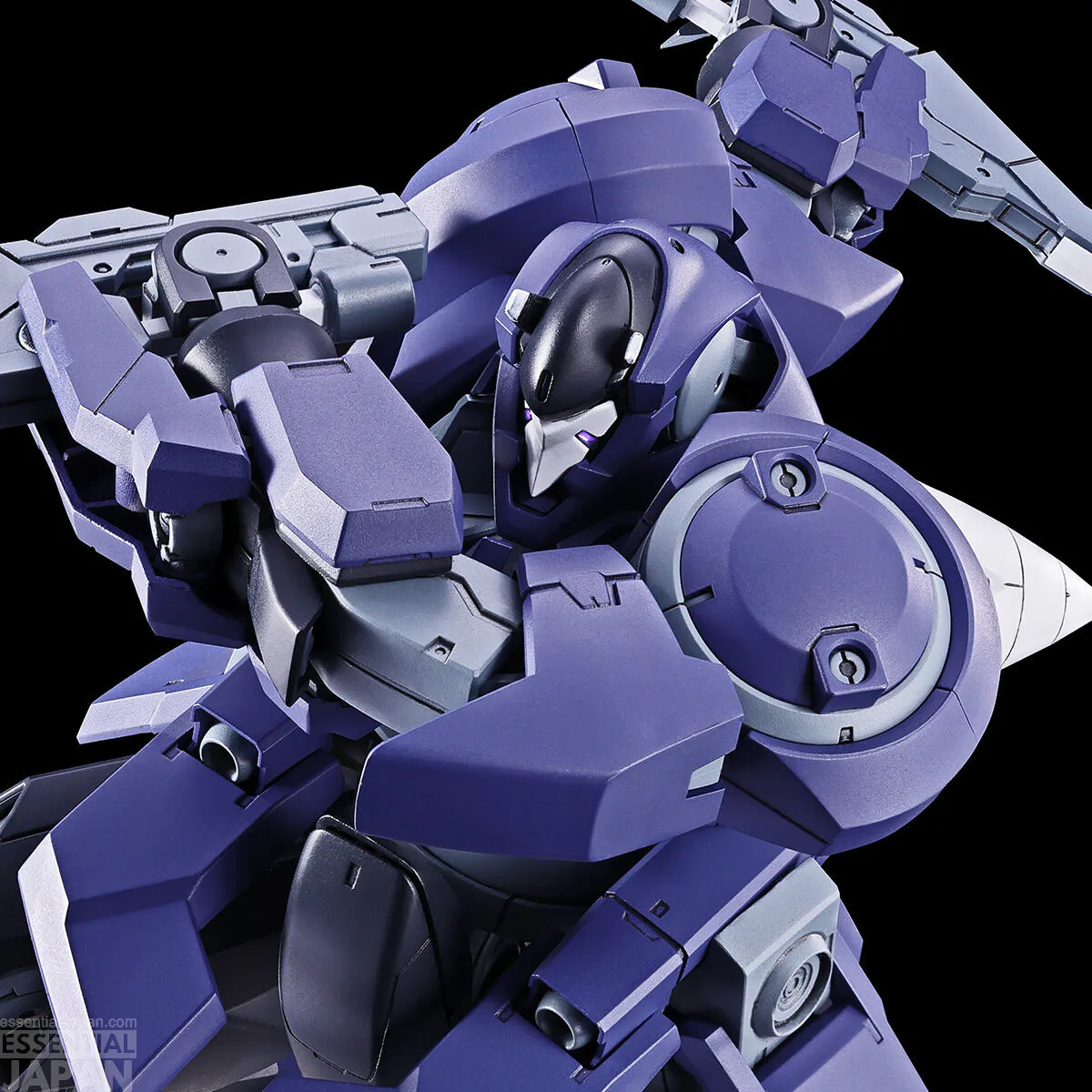 MG 1100 Superbia Jinx 2