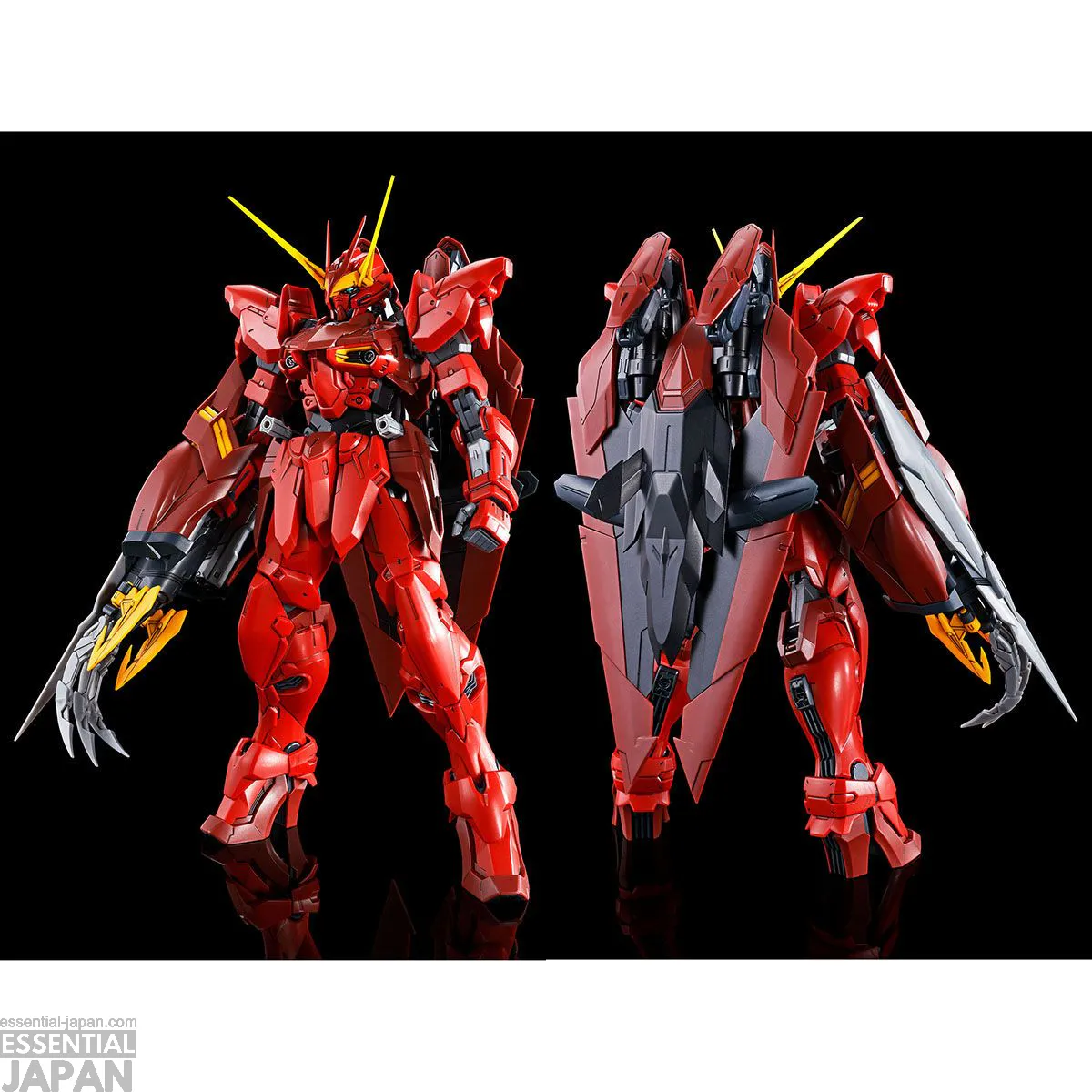 MG 1100 Testament Gundam 1