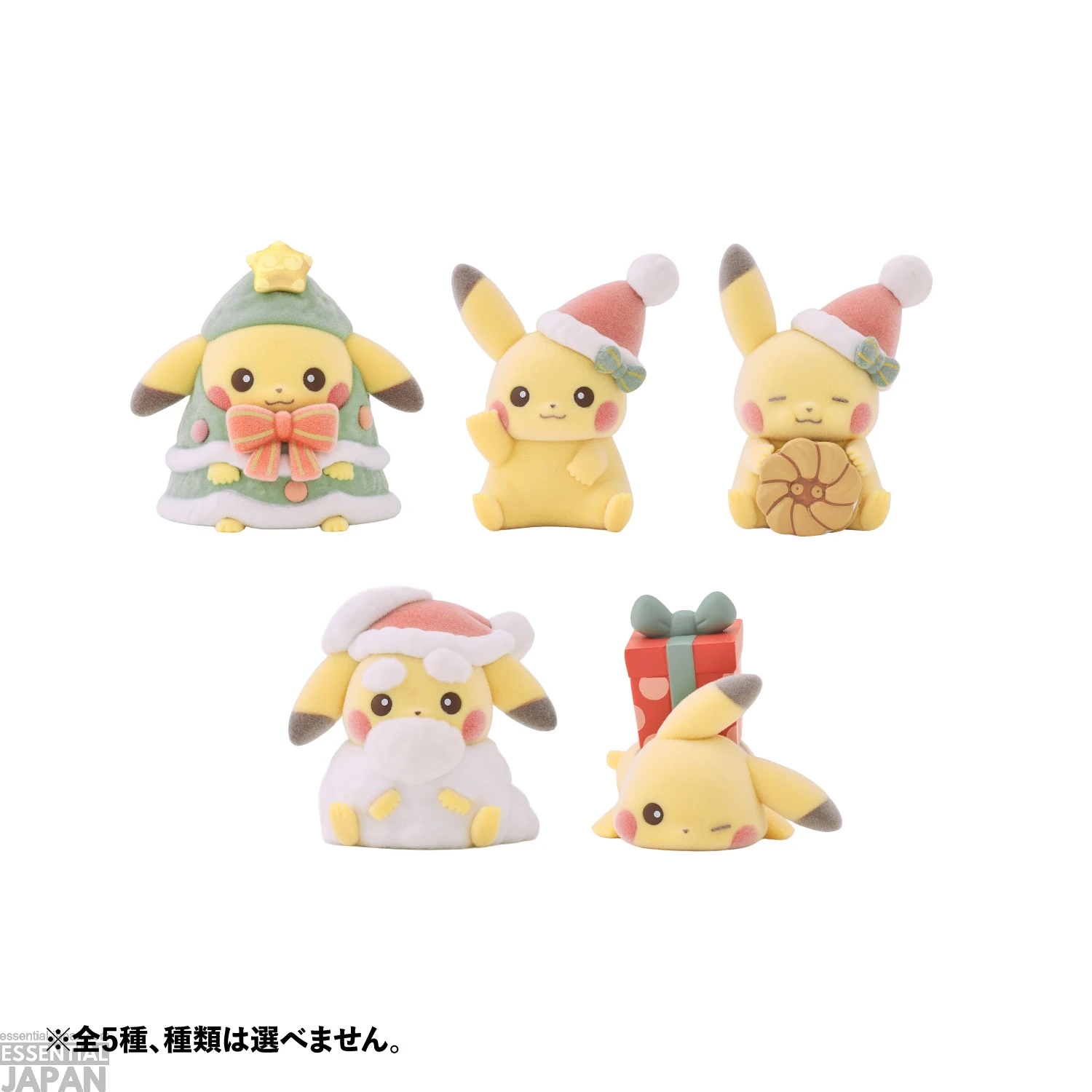 Pokémon 2026 Holiday Collection 15