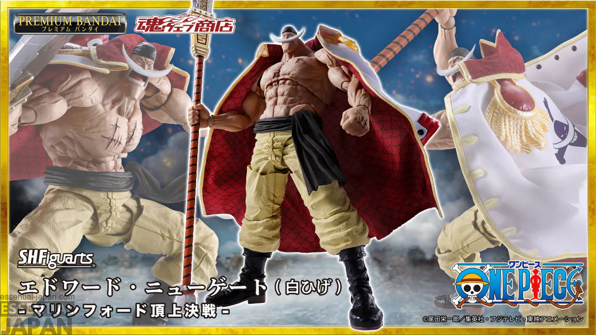 S.H.Figuarts Edward Newgate (Whitebeard) Marineford 3