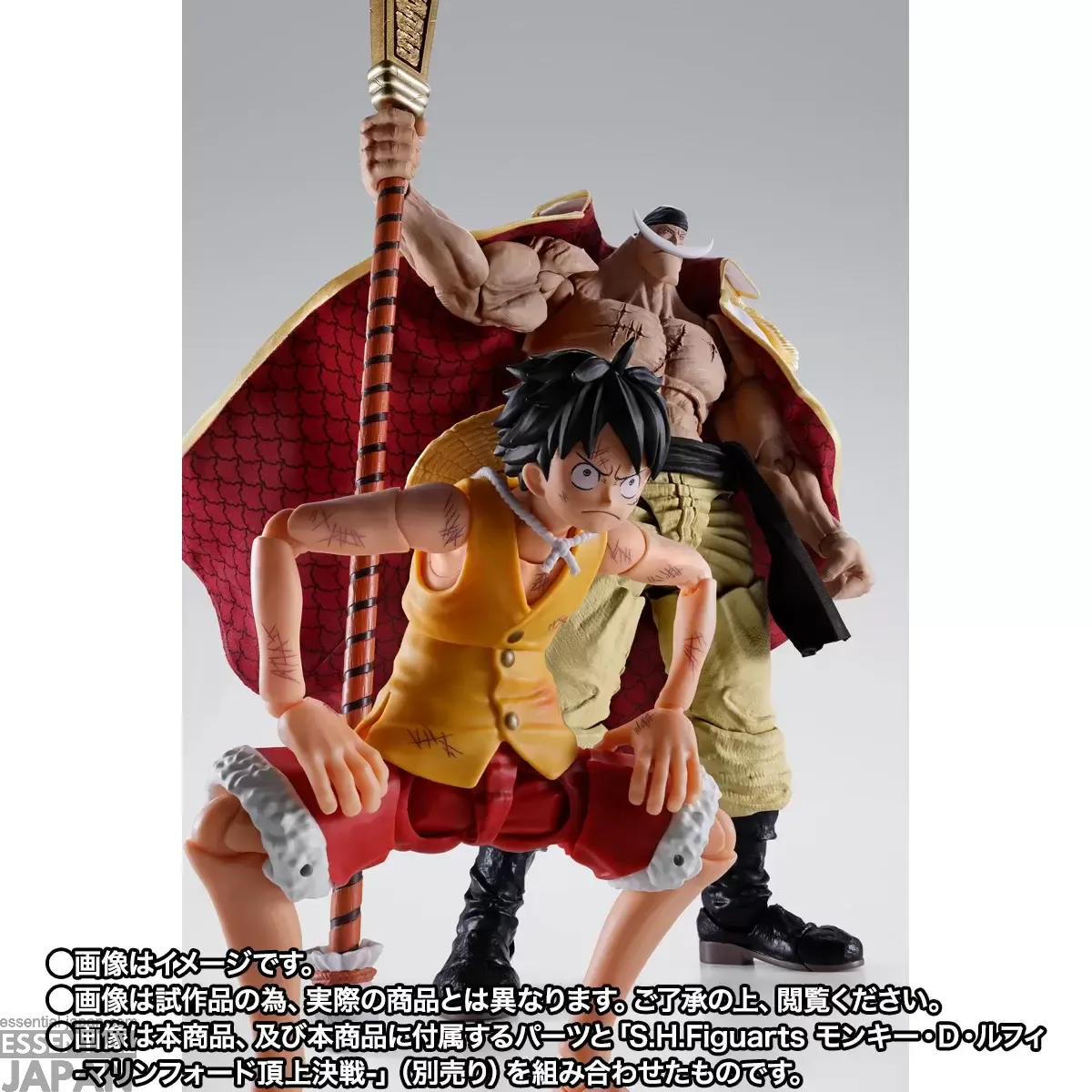 S.H.Figuarts Edward Newgate (Whitebeard) Marineford 4