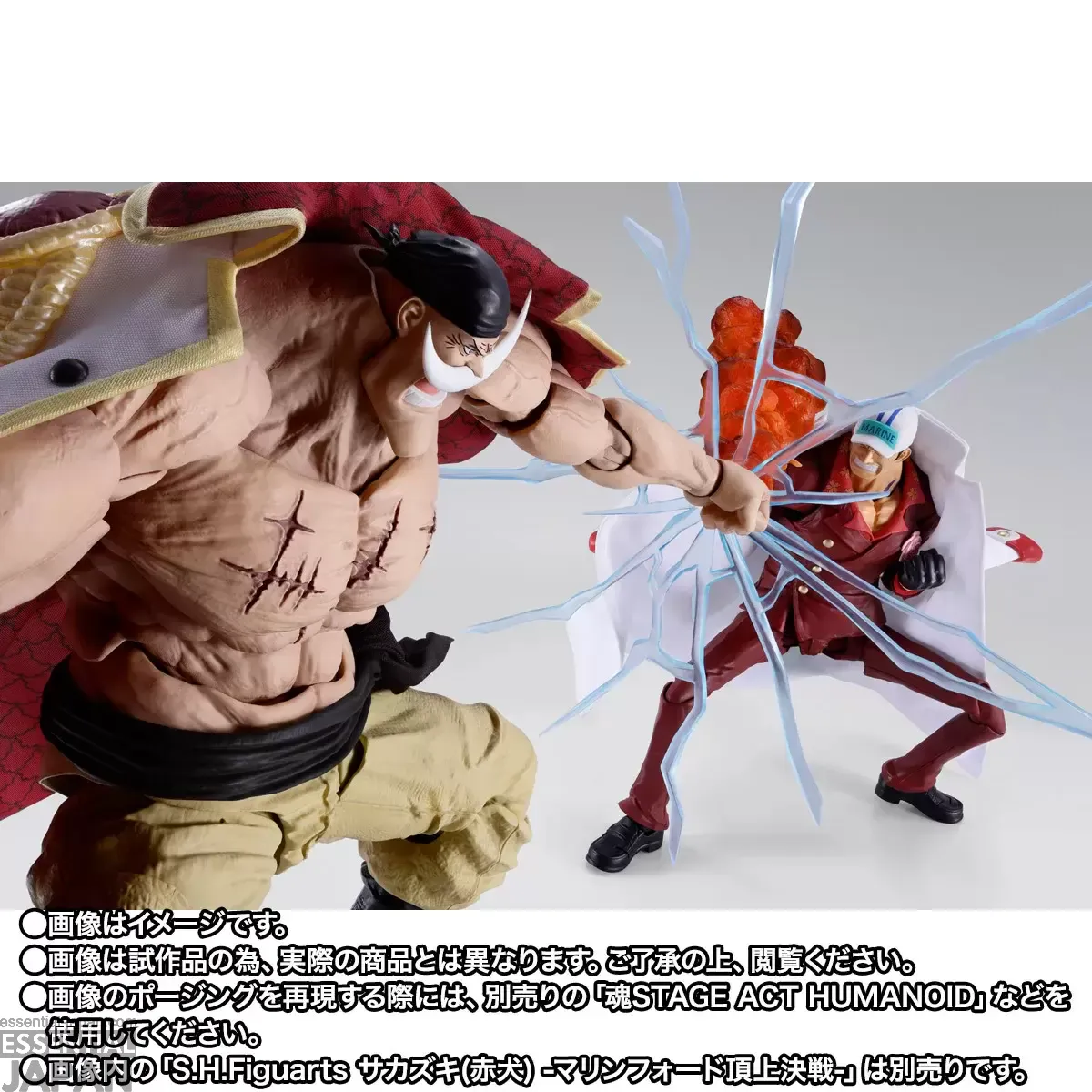 S.H.Figuarts Edward Newgate (Whitebeard) Marineford 5