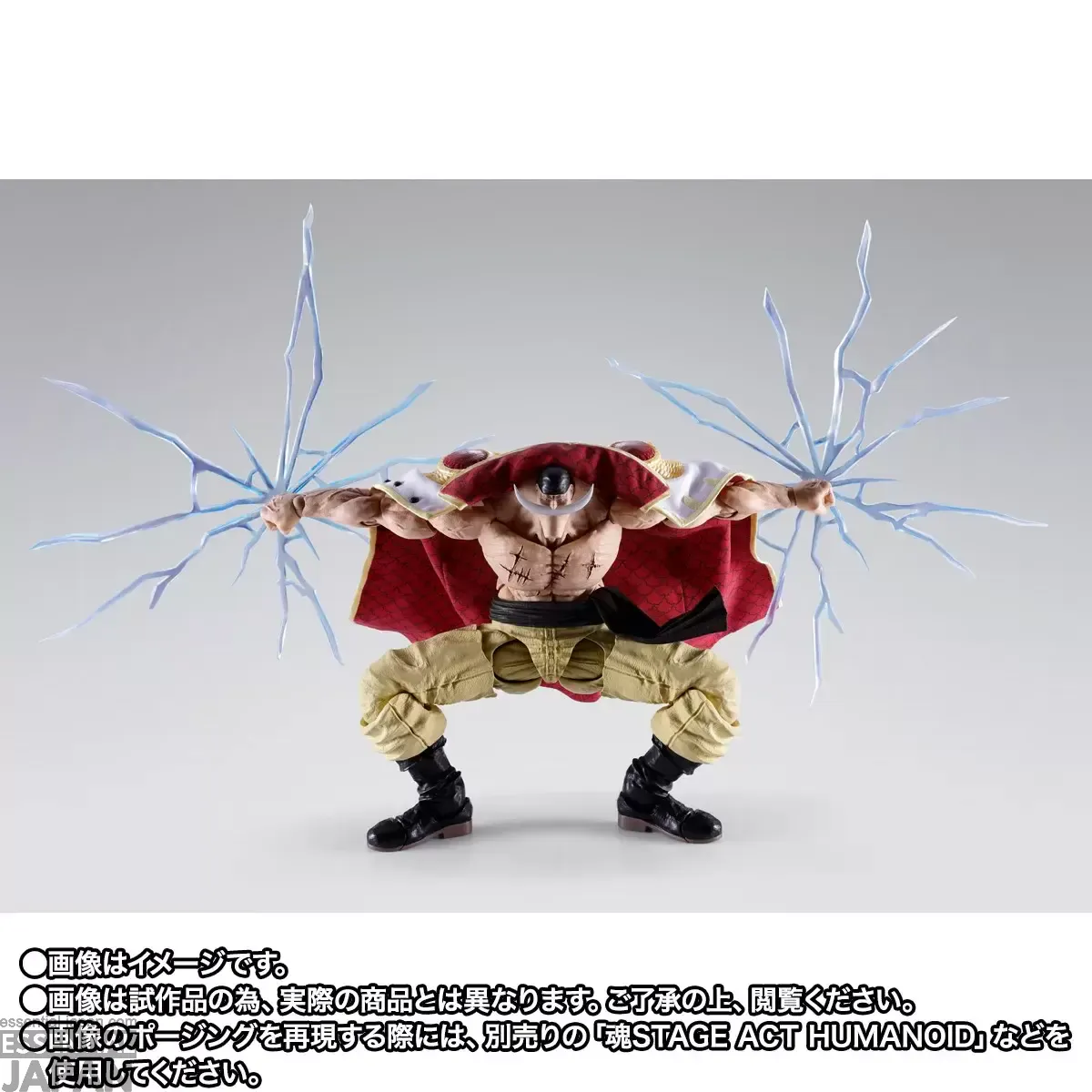 S.H.Figuarts Edward Newgate (Whitebeard) Marineford 8