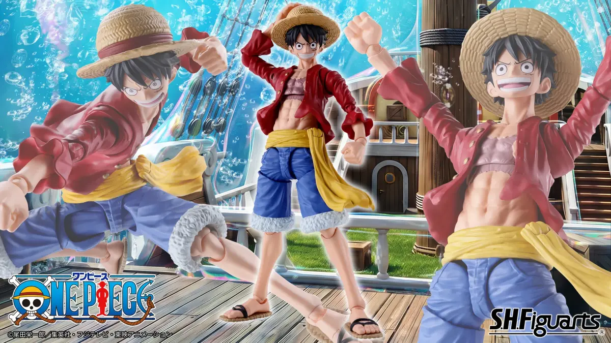 S.H.Figuarts Monkey D. Luffy New World 9