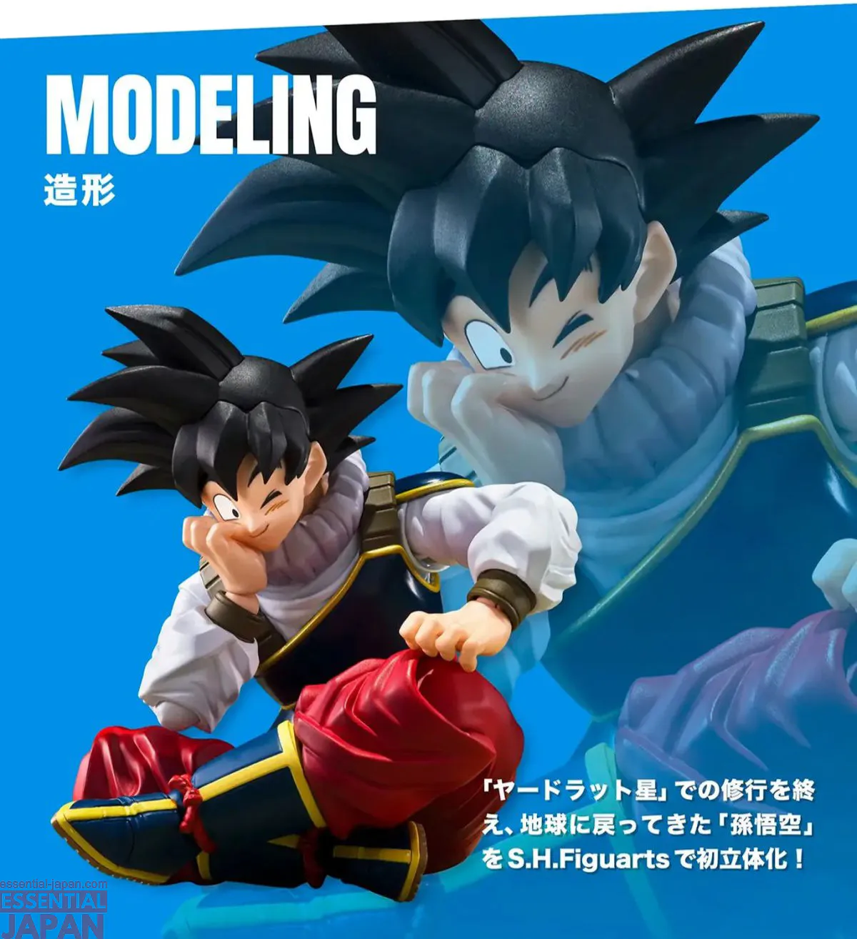 S.H.Figuarts Son Goku RETURN TO EARTH 13