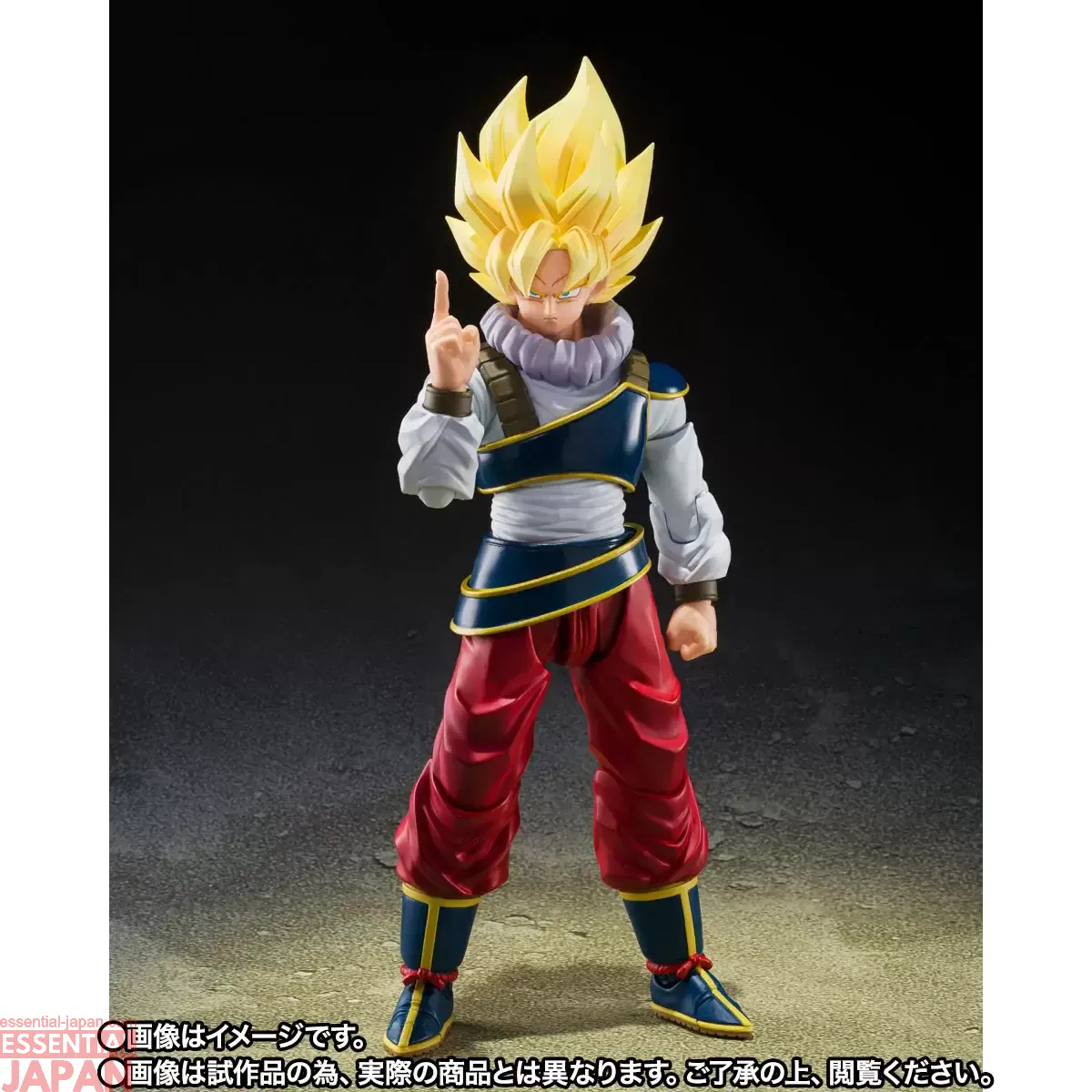 S.H.Figuarts Son Goku RETURN TO EARTH 4