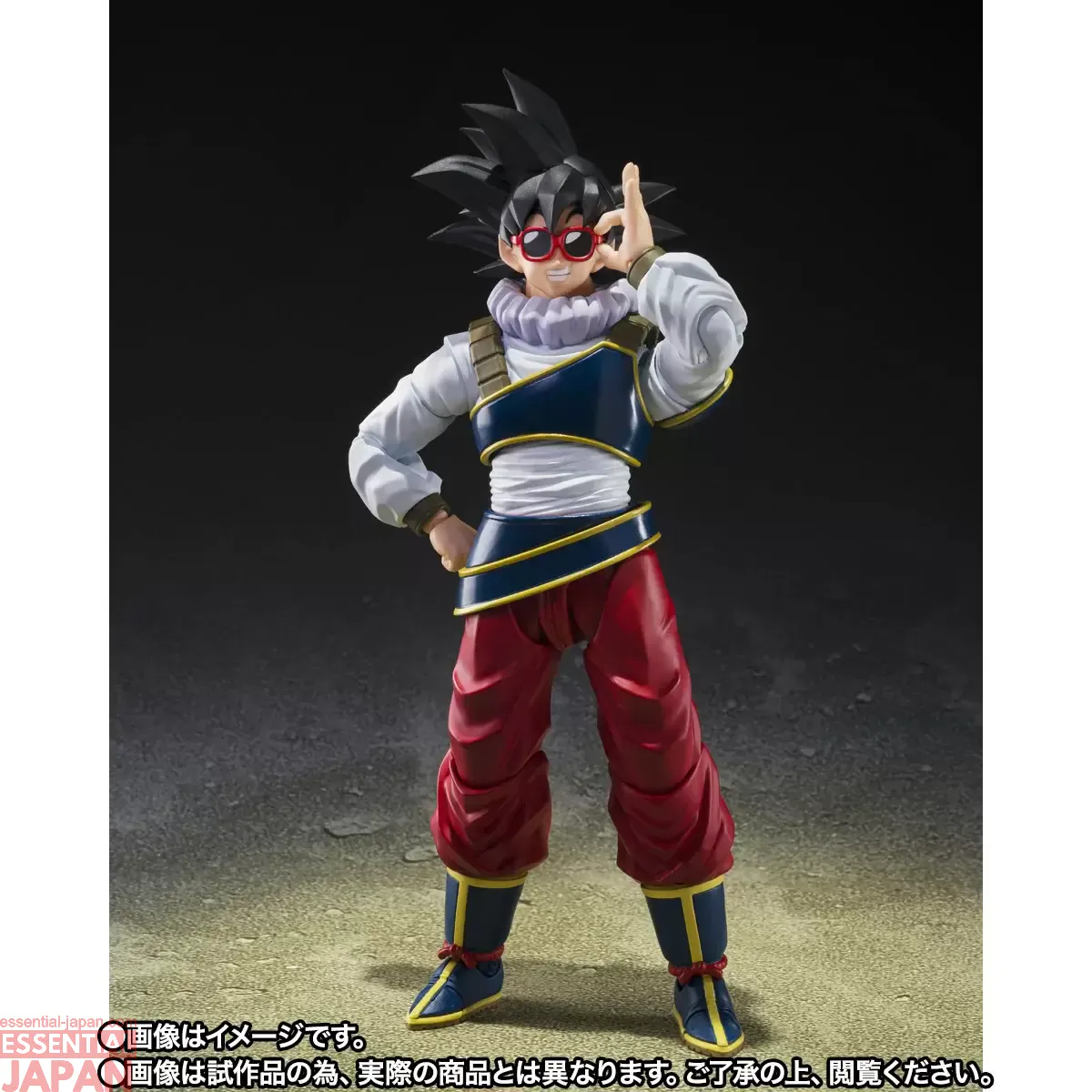 S.H.Figuarts Son Goku RETURN TO EARTH 6