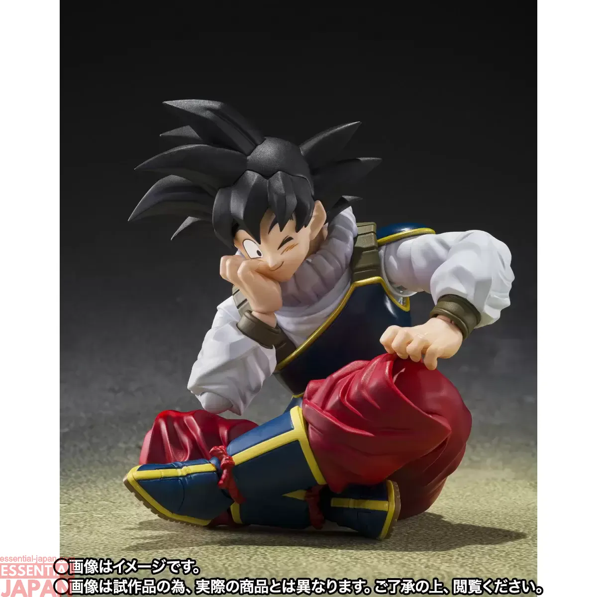S.H.Figuarts Son Goku RETURN TO EARTH 7