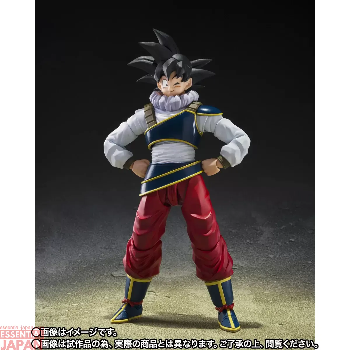 S.H.Figuarts Son Goku RETURN TO EARTH 8