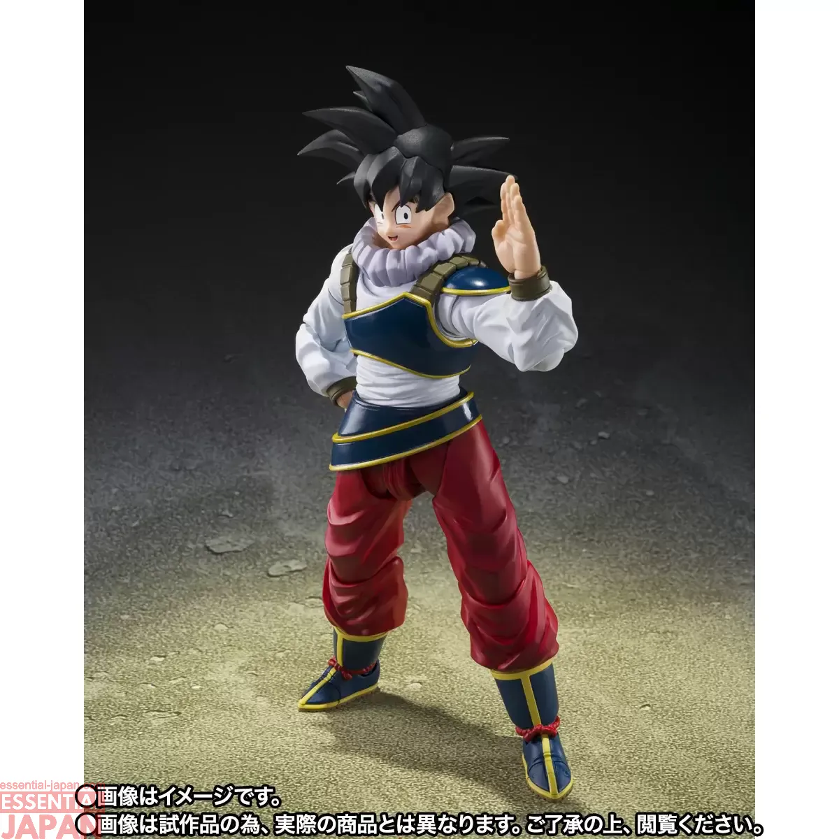 S.H.Figuarts Son Goku RETURN TO EARTH 9