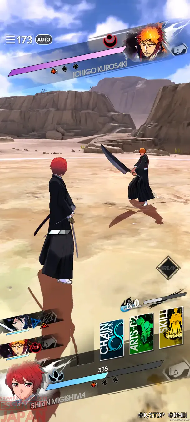 bleach mirrors high release 11