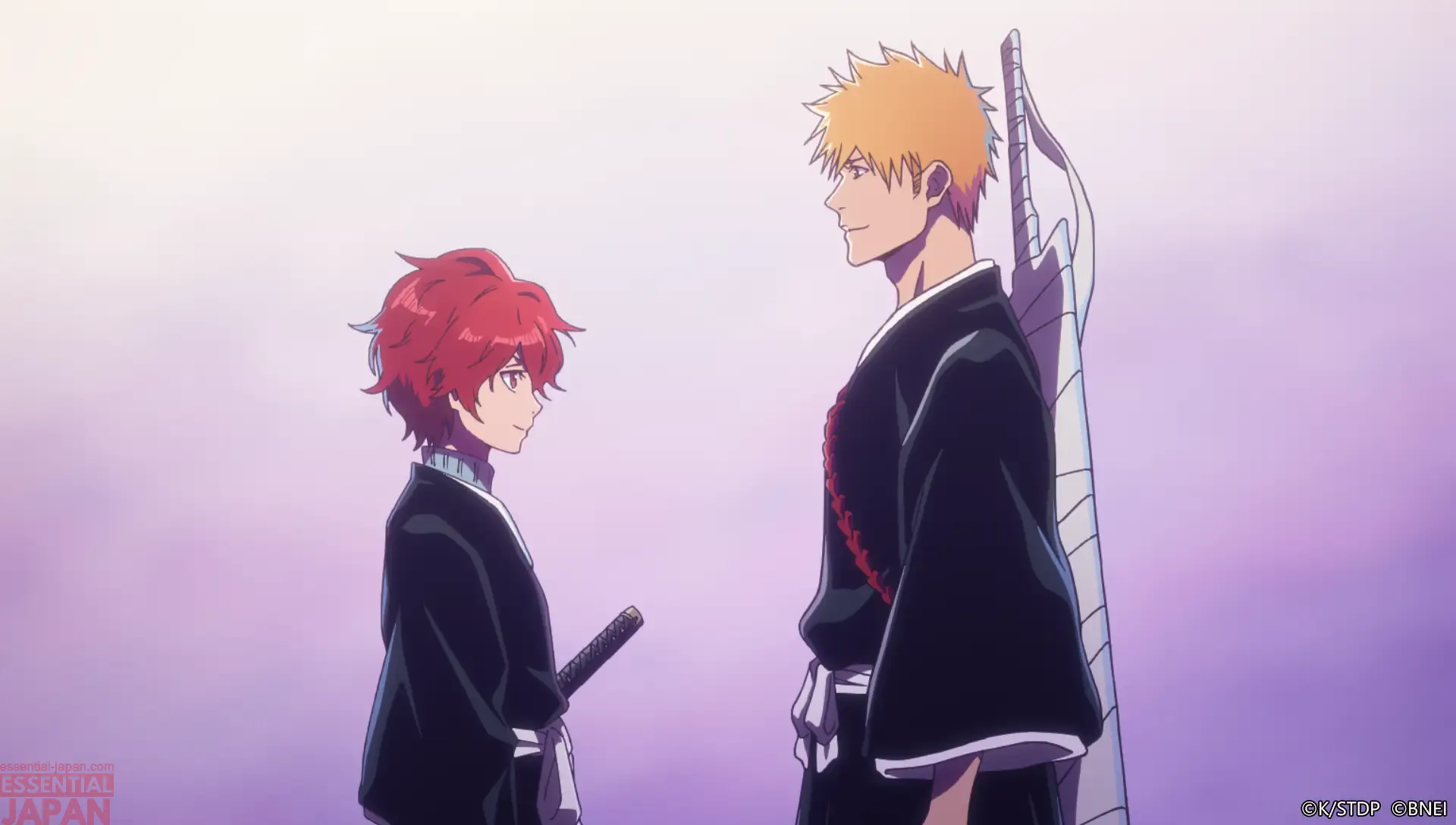 bleach mirrors high release 7