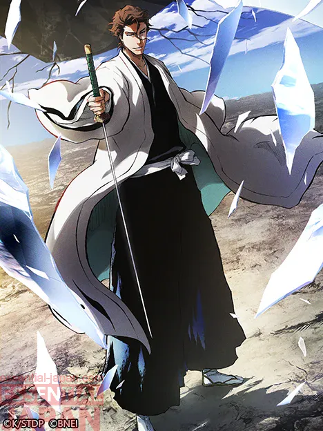 bleach mirrors high release 8