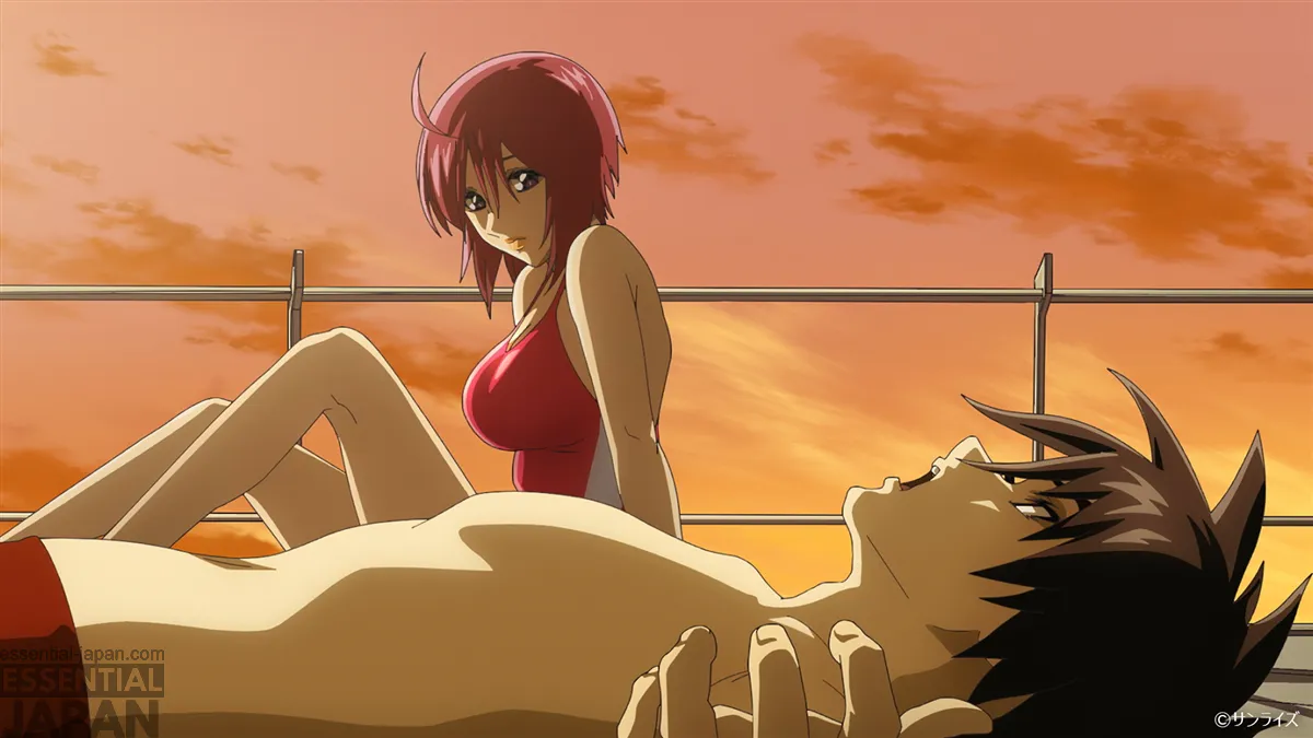 gundam freedom zero screenshot 4