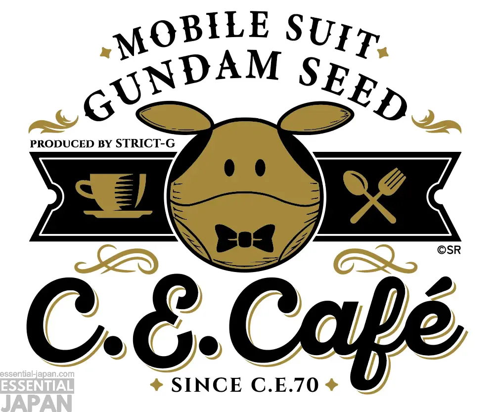 gundam seed runway hikeshi spirit strict g 2